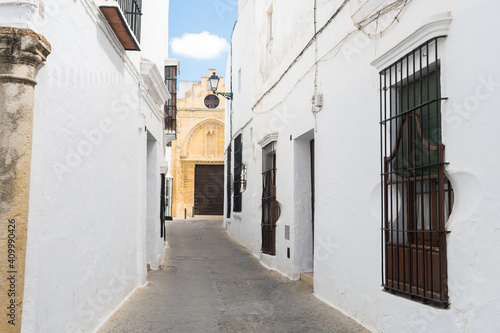 Fototapeta Naklejka Na Ścianę i Meble -  beautiful streets of a famous white town in andalusia, Spain