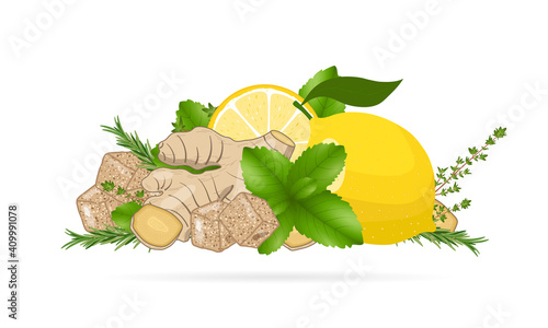 Ginger root slices, lemon, mint leaves, thyme and cane sugar. Vector illustration on white background. Natural home remedies, cold and flu treatment. 