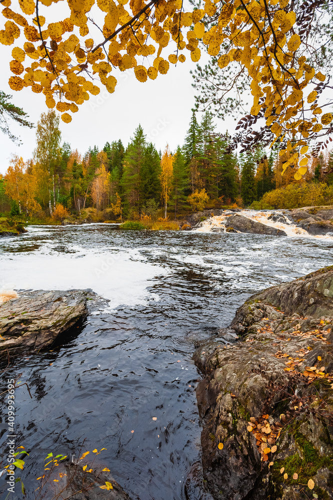 Forest lake with waterfall. Karelia. Russian North