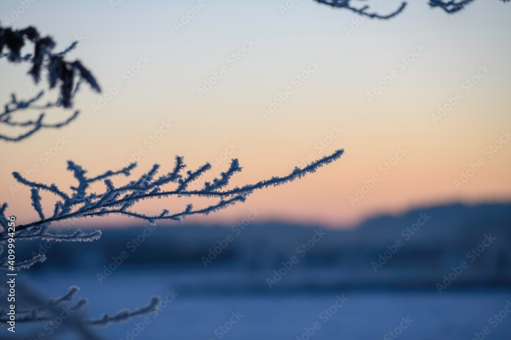Frosted sunrise, northern plains of Germany Frosted sunrise, northern plains of Germany