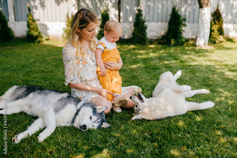 Mother and son posing with two dogs on the grass Mother and son posing with two dogs on the grass