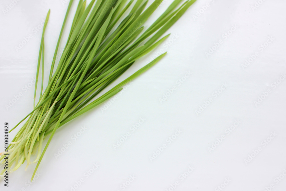 Oat microgreens on a white background. Fresh green sprouted oats. Superfood, vegan and healthy eating concept. Top view, copy space