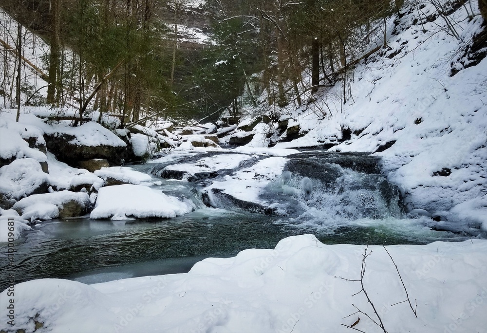 Obraz premium river in the winter forest