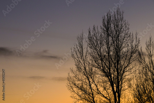 Sunset sky w/ trees