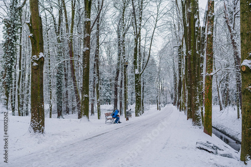 Winter Alley Covered with Cnow in Park Outdoors photo