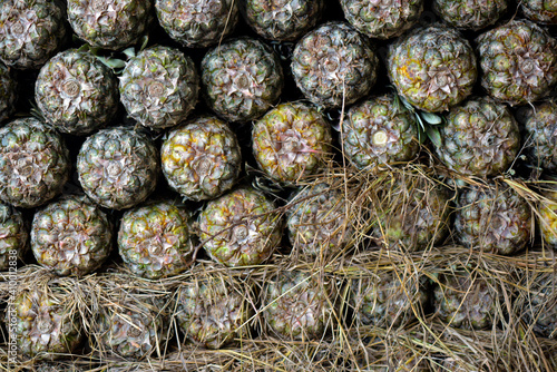 Closeup of pineapple pile on display at the wholesale market stall photo