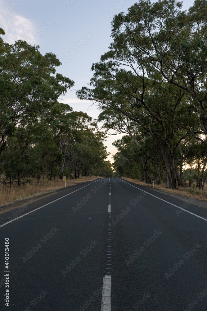 road in the countryside