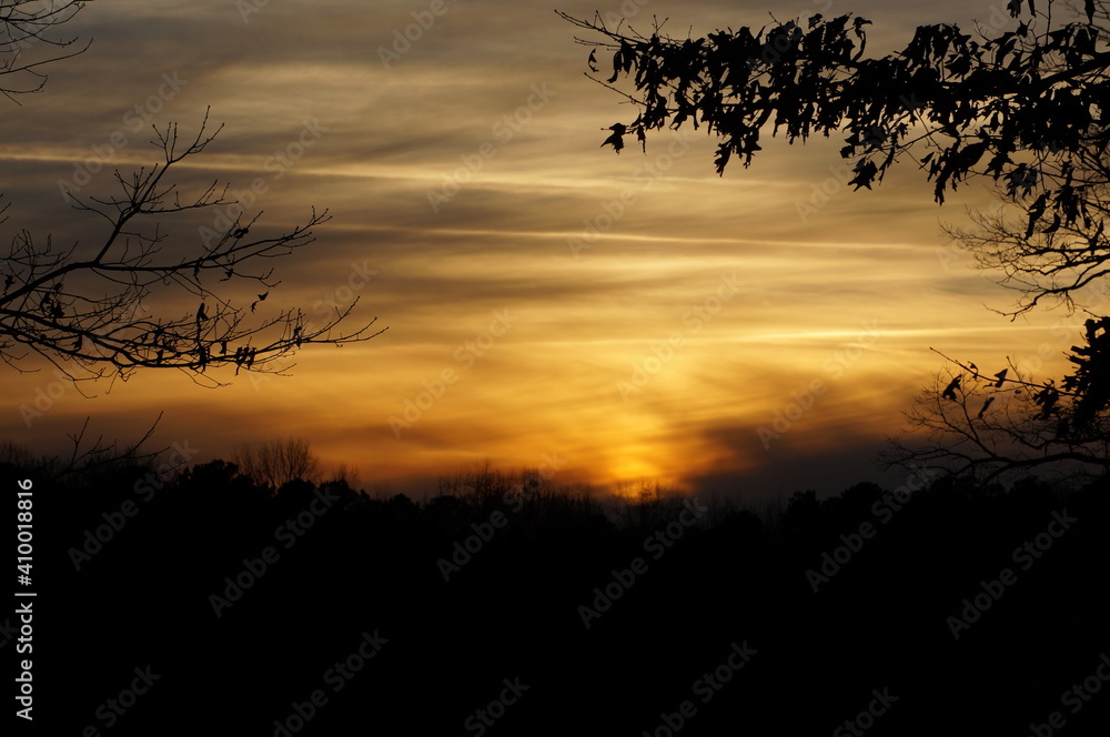 Obraz premium sunset in the woods