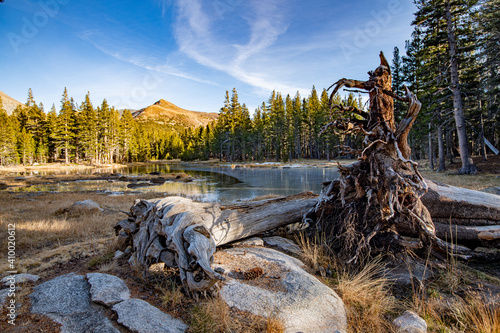 Winter scene at lake at Yosemite National Park, Califronia, USA. Fallen tree in front of a lake with pine trees and mountains on a background. photo