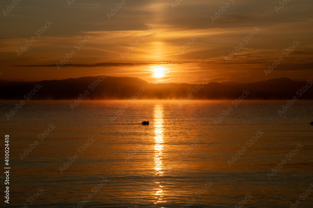 風景素材　美しい琵琶湖の夜明け