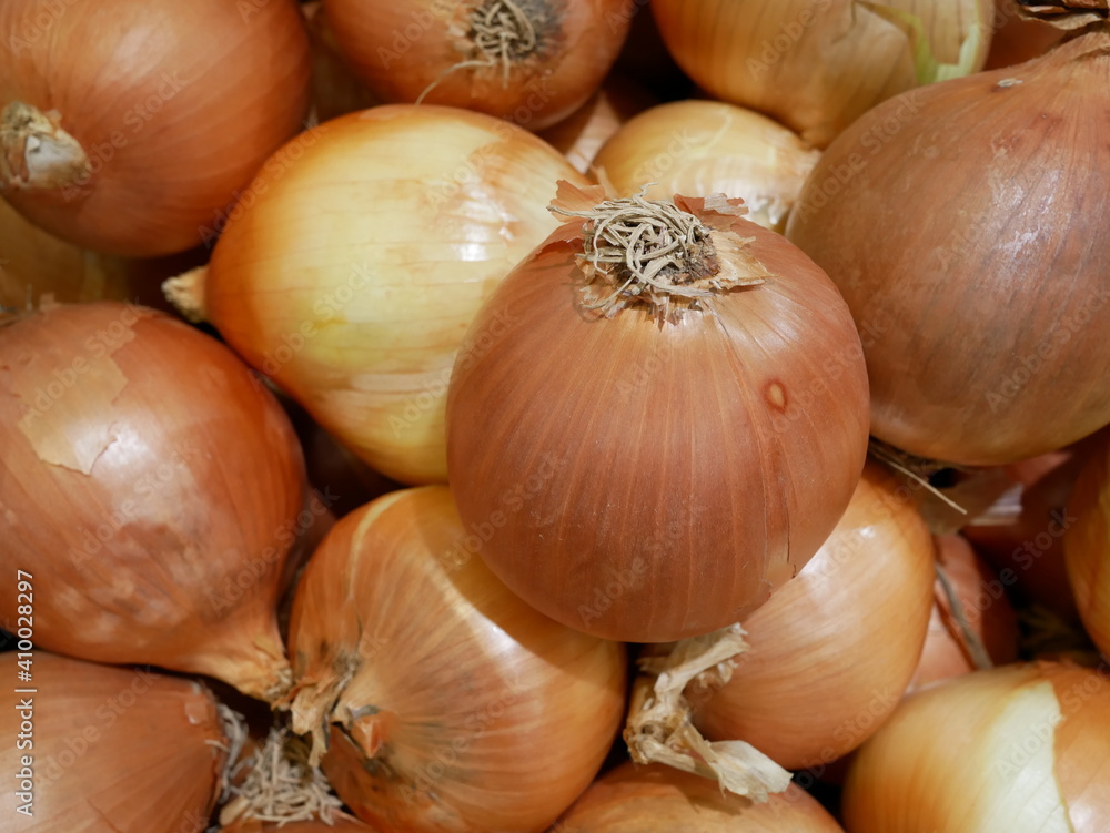fresh onion displayed for sale on the supermarket. fresh onion displayed for sale on the supermarket.