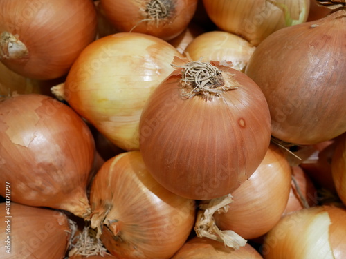 fresh onion displayed for sale on the supermarket.