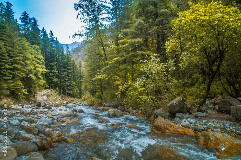 Mountain river in the forest. Parvati River in the mountain valley of Himalaya, Himachal Pradesh, India. Mountain river in the forest. Parvati River in the mountain valley of Himalaya, Himachal Pradesh, India.