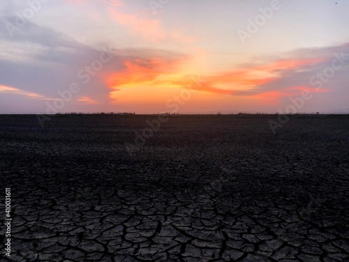 sunset over the field