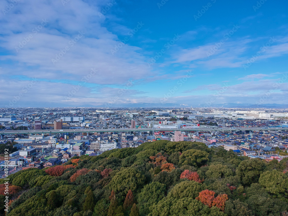 Naklejka premium 高所から見た小牧の町並みと小牧山の風景