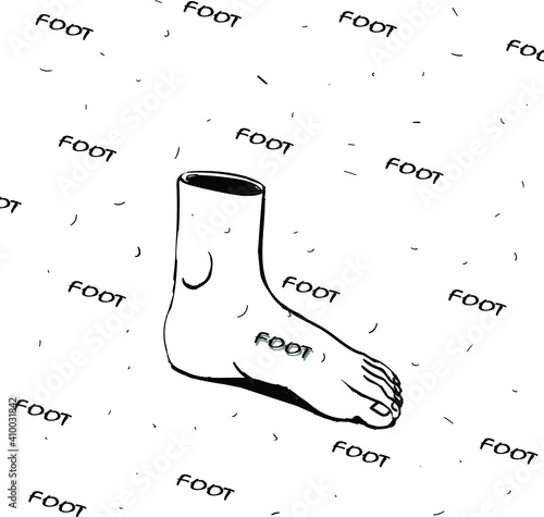 Human foot