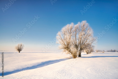 Winter rural landscape, Poland around Malbork 