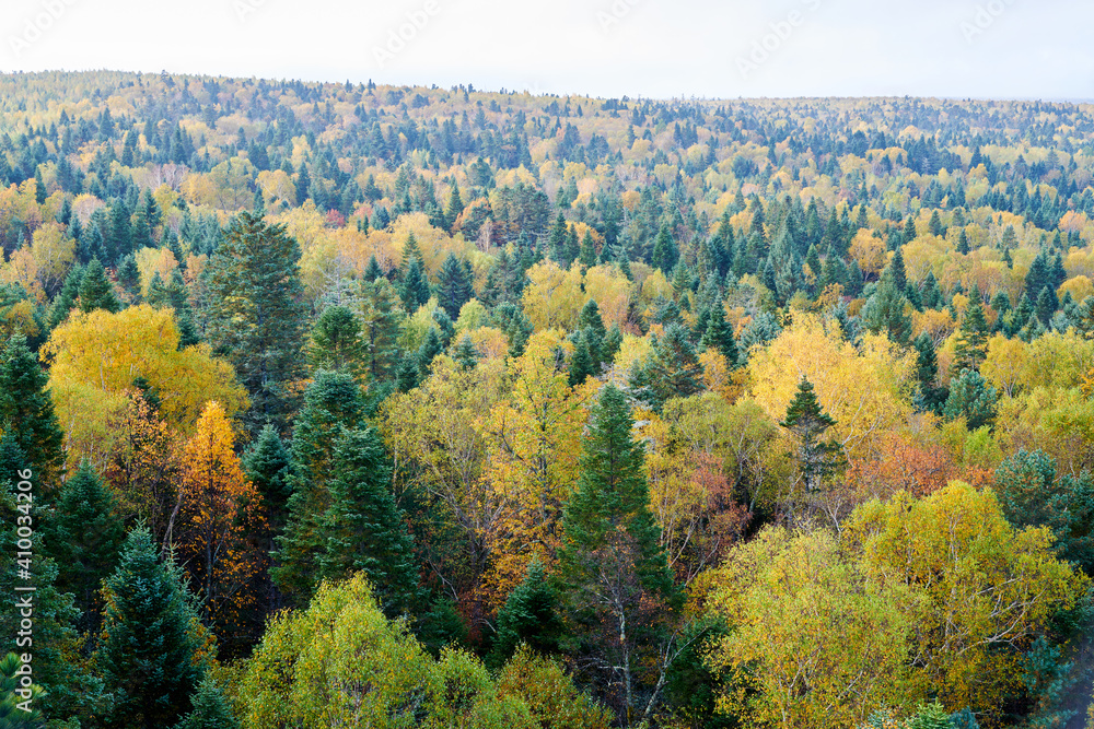The beautiful autumn forests landscape of Lesser Khingan Mountains of China. The beautiful autumn forests landscape of Lesser Khingan Mountains of China.