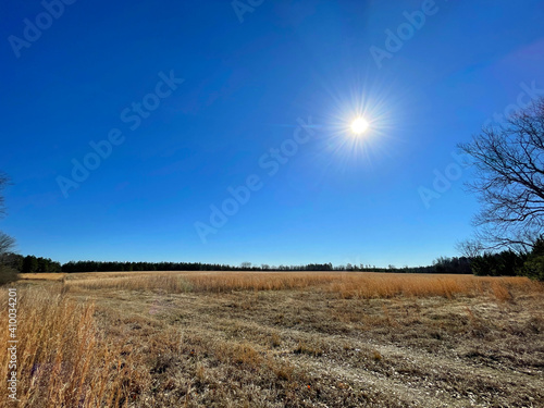 Fototapeta Naklejka Na Ścianę i Meble -  Rural wheat hay field in the country in Georgia during the Winter