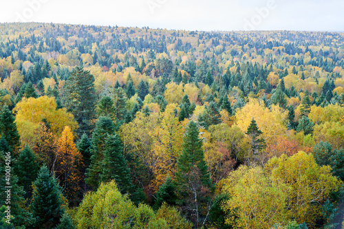 The beautiful autumn forests landscape of Lesser Khingan Mountains of China.