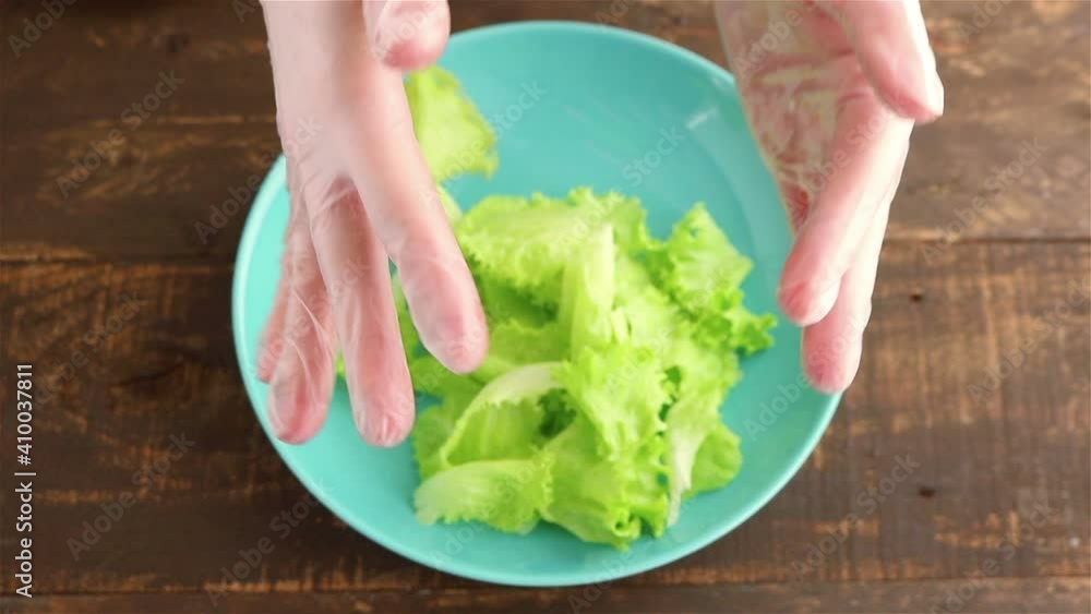 woman hands put fresh lettuce leaves into plate top view close up woman hands put fresh lettuce leaves into plate top view close up