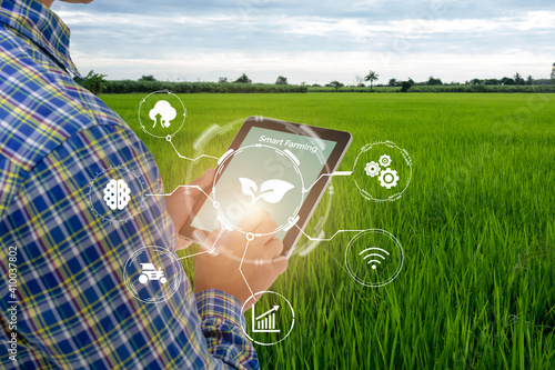 smart farming,agriculture industry technology concept, farmer using tablet to control in planting, farm, with high technology to monitor, check, control for best performance, efficiency, high profit