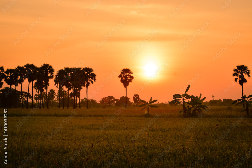 Sunset in Thai Country