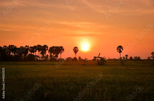 Sunset in Thai Country © Arthit