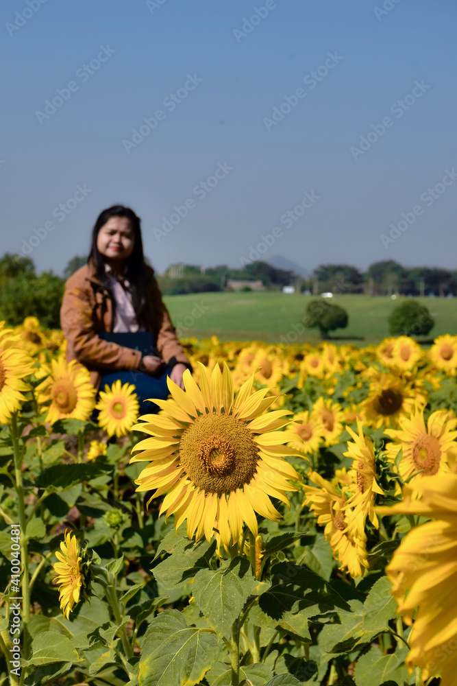 girl in a sunflower field girl in a sunflower field