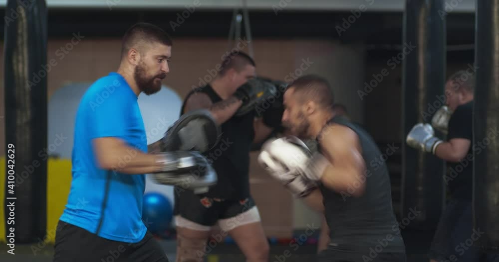 Box training Box training