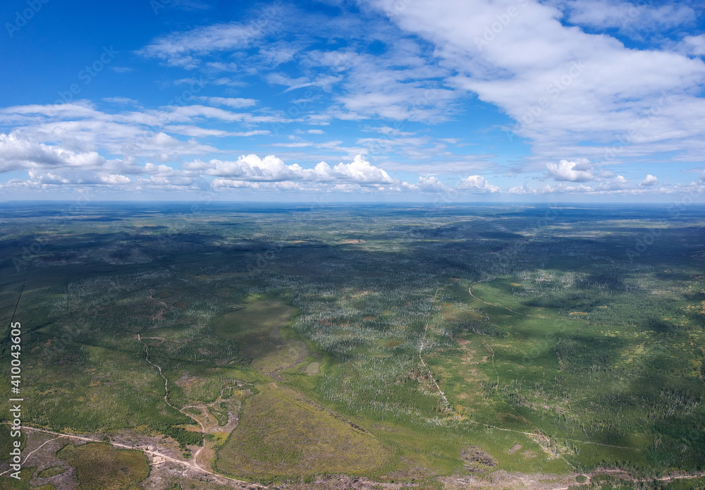 A large panorama of the view from the height of the burned forest a couple of years ago. The consequences of a forest fire from a height.