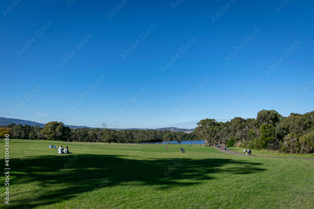 Fototapeta premium golf course in the morning