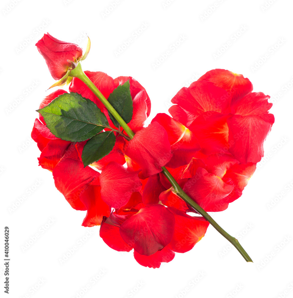 Heart Made of Red Roses Isolated on the white background Heart Made of Red Roses Isolated on the white background