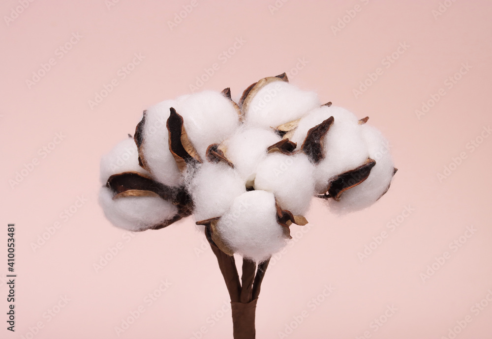 Obraz premium a bunch of cotton balls on a pink background