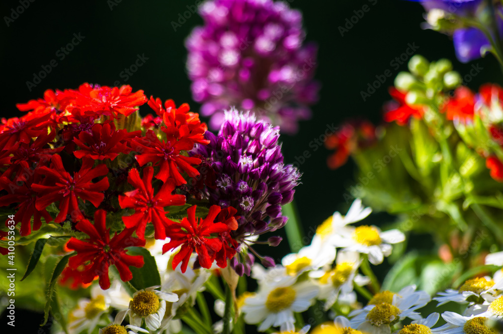 a bouquet of bright spring flowers of various types a bouquet of bright spring flowers of various types