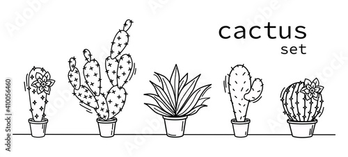 A set of cacti on a white background. Vector contour illustration.