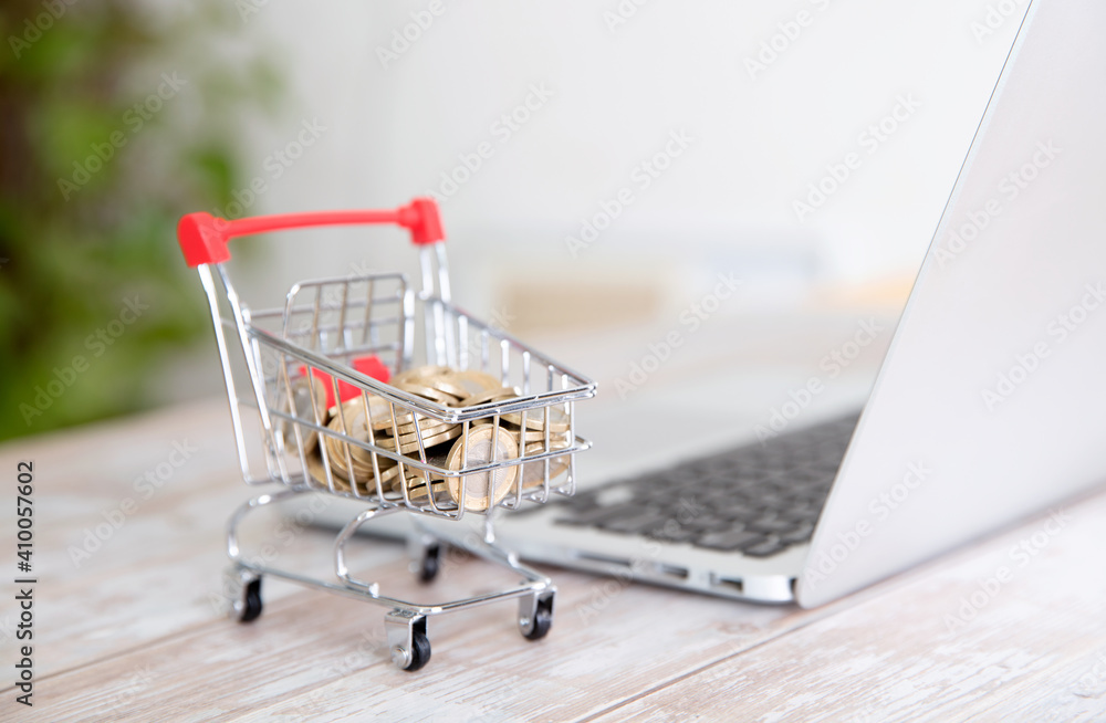 Shopping carts and laptops loaded with euro coins