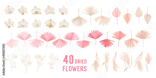 Dried pampas grass, lunaria flowers, orchid, tropical palm leaves vector bouquets. Pastel watercolor floral template