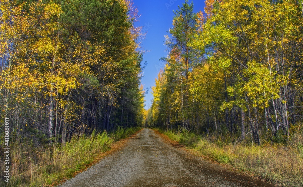 road in autumn