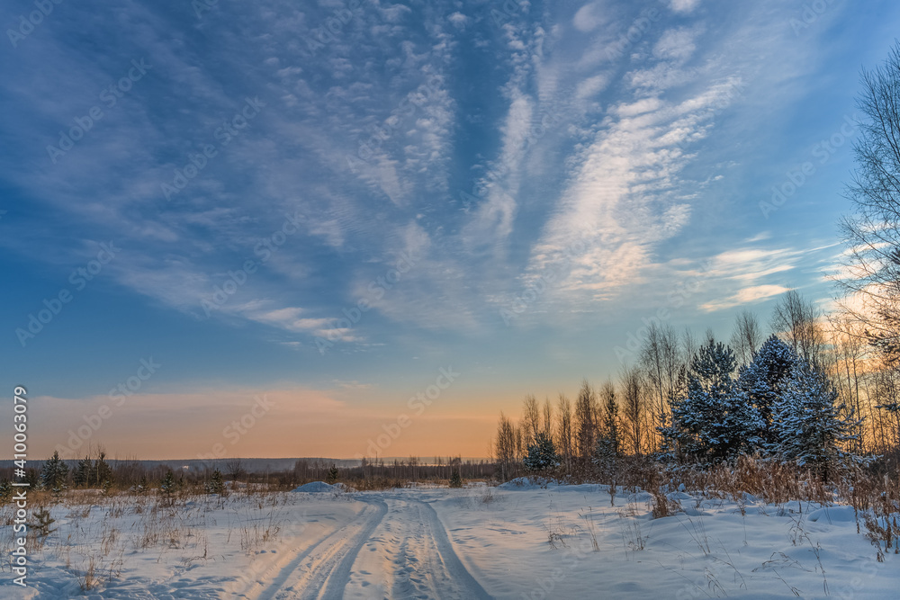 Winter landscape with pine trees, road, snow and cirrus white clouds with sunset colors in the sky and on the snow. Sunny bright cold evening in the Urals (Russia), ringing clean air 
