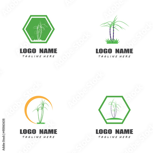Sugar cane Logo Template vector symbol nature