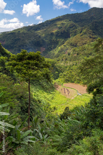 A view in the mountains of Negros Island of a rustic little field, Philippines photo