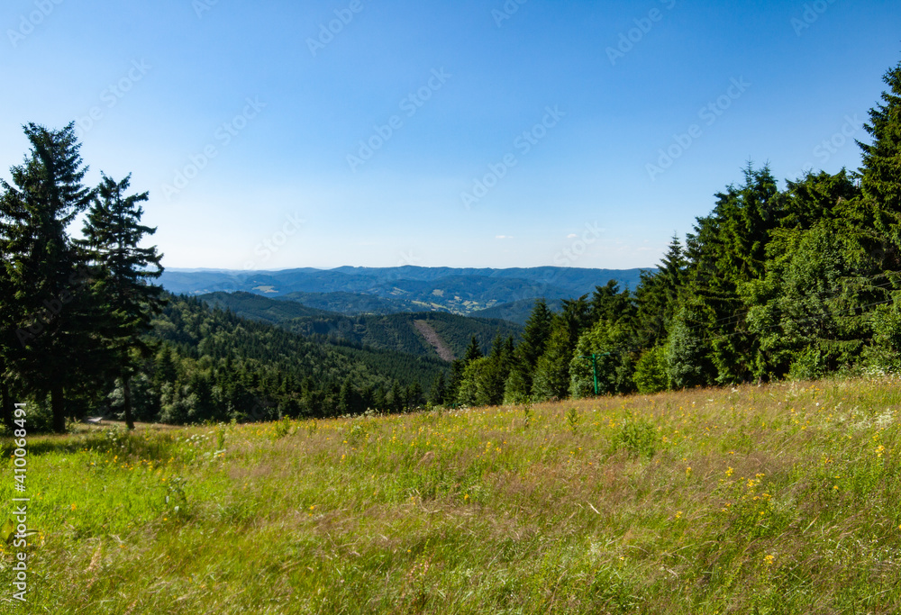 Paysage de montagne avec la forêt de tous les verts possibles, un ciel nuageux et bleu. La forêt est composée principalement de résineux, épicéas sapins et pins.