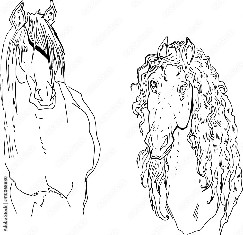 muscular house horse linear drawing. animal in motion picture. design ...