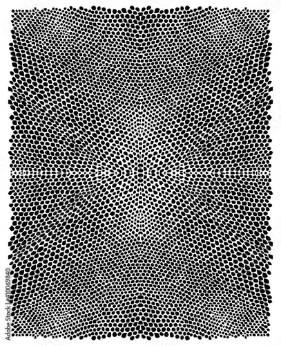 Reptile skin. Animal print background.