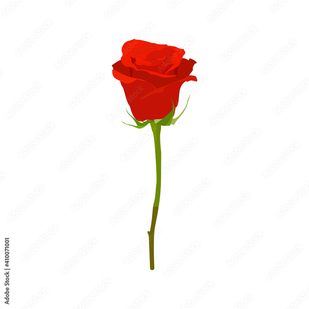 Red roses vector graphics