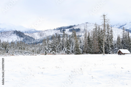 Mountain landscape in winter, fields and trees covered with snow.