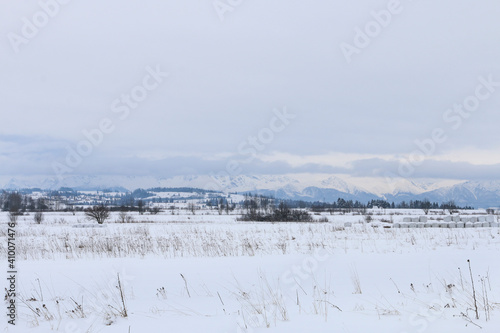 Banks of a mountain stream covered with snow, winter landscape.