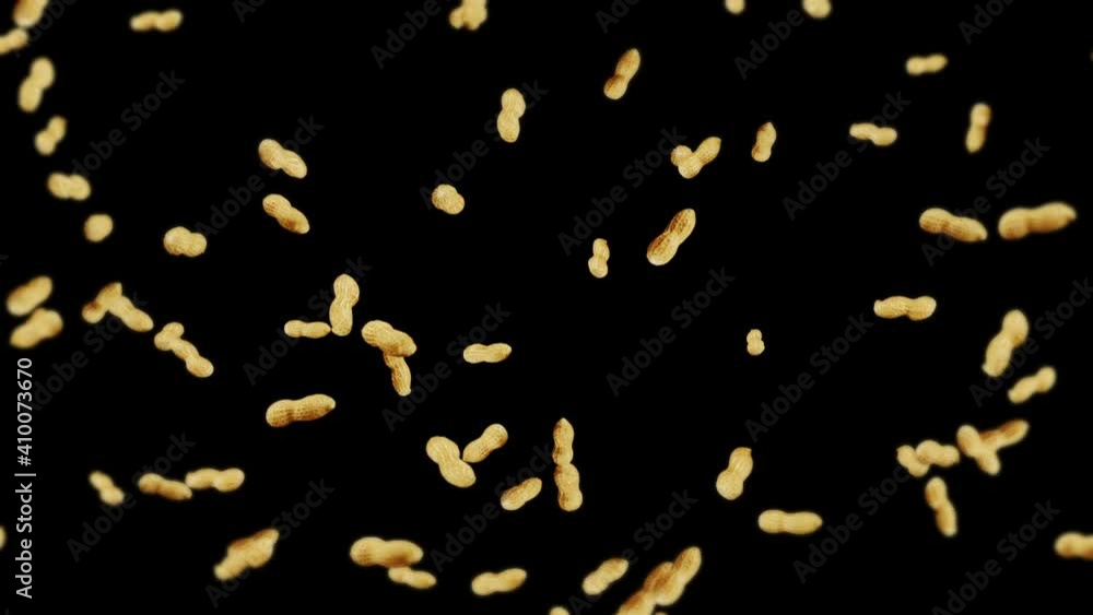 Flying many peanuts on black background. Raw peanuts. Groundnuts in shells. Healthy organic food. 3D loop animation of seed rotating. Flying many peanuts on black background. Raw peanuts. Groundnuts in shells. Healthy organic food. 3D loop animation of seed rotating.