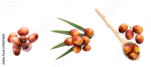 Set with fresh ripe palm oil fruits on white background, top view. Banner design